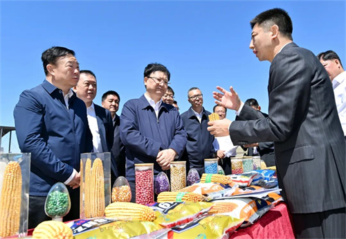 尊龙凯时 - 人生就是搏!