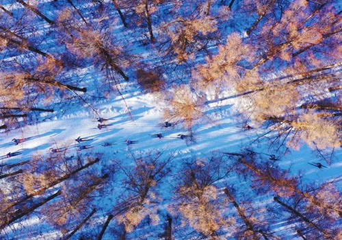 尊龙凯时 - 人生就是搏!