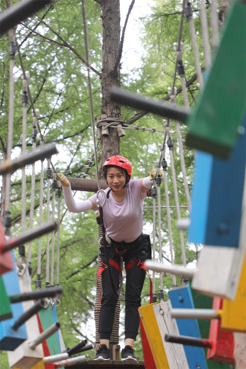 尊龙凯时 - 人生就是搏!