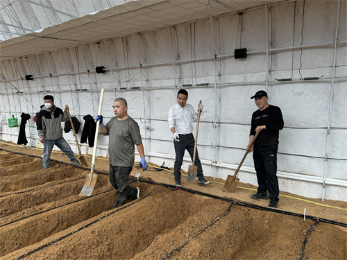 尊龙凯时 - 人生就是搏!