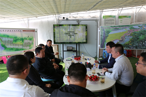 尊龙凯时 - 人生就是搏!