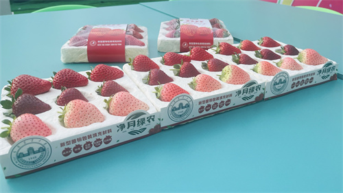 尊龙凯时 - 人生就是搏!