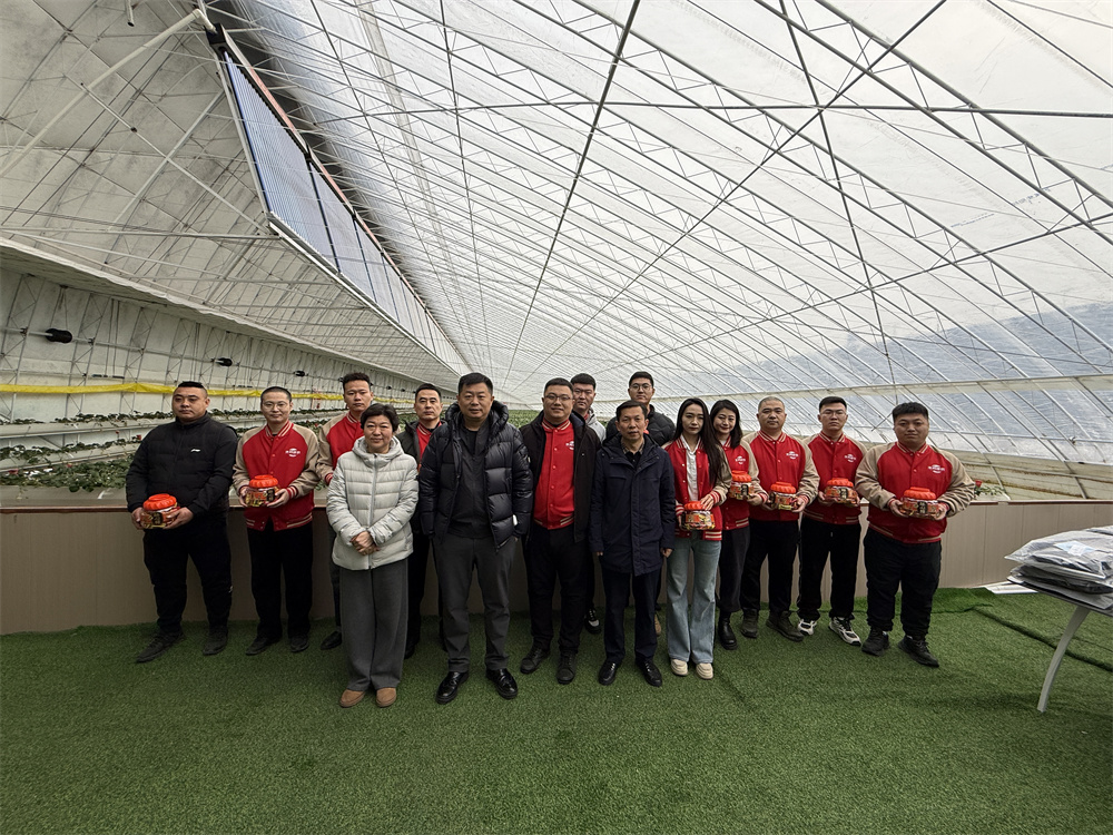 尊龙凯时 - 人生就是搏!